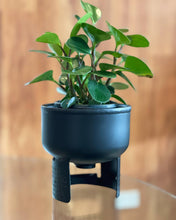 Load image into Gallery viewer, Small Planter
